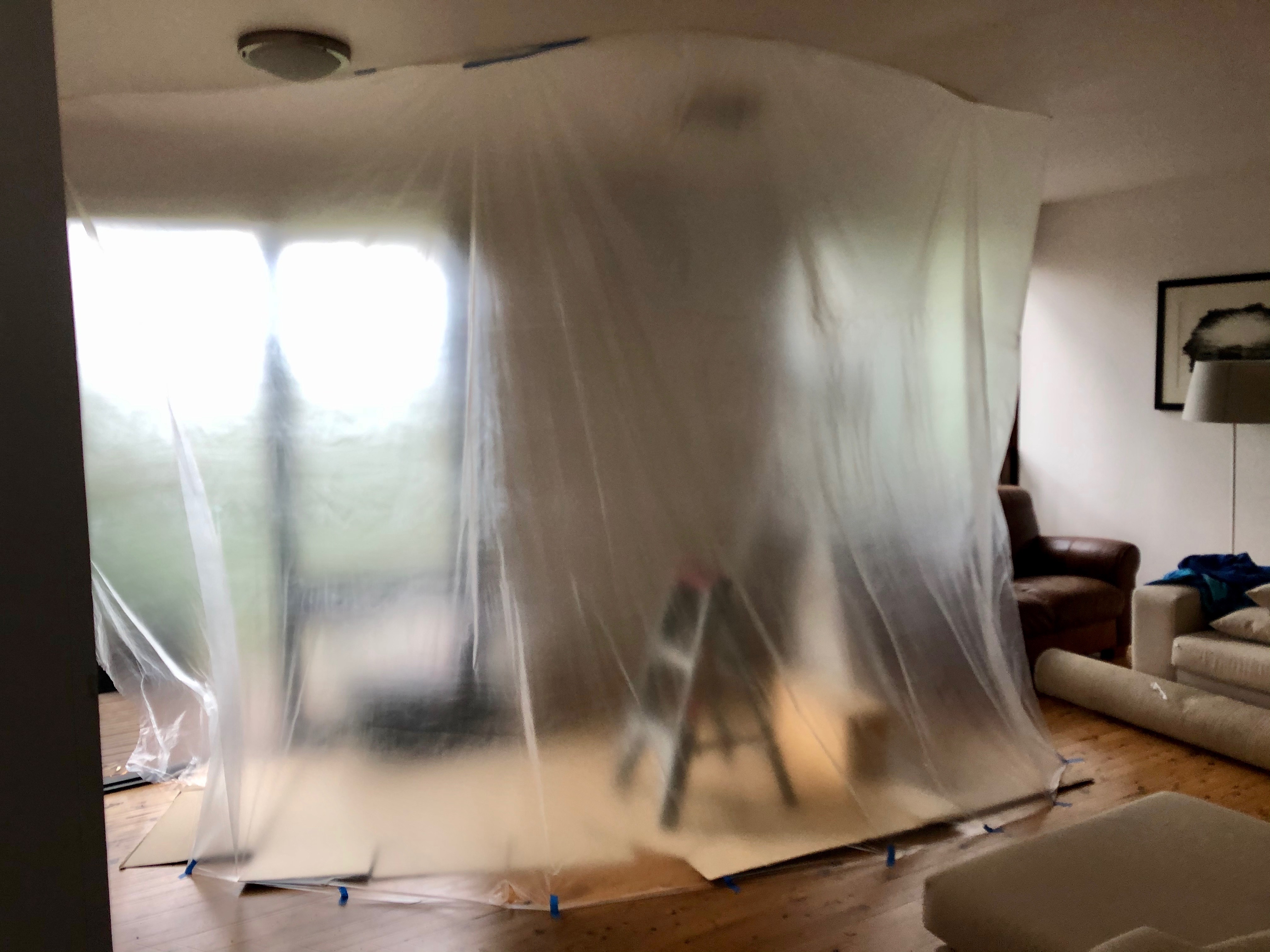 Bee removal from home