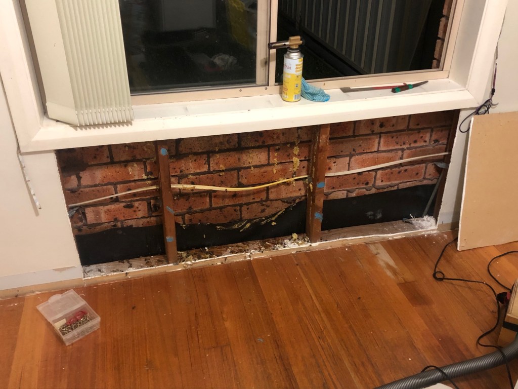 Bee colony in a wall